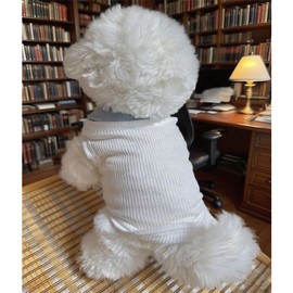 CELONROMF Macaron Color-Blocked Lapel Polo for Small Dogs & Cats - Breathable Spring/Summer/Autumn Pet Shirt, Lightweight All-Season Apparel with Easy-On Design (S-XL) (White SkyBlue, X-Large)