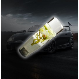 Unbranded Universal 15cm JDM Clear White Real Flowers Manual Gear Stick Shift Knob Shifter