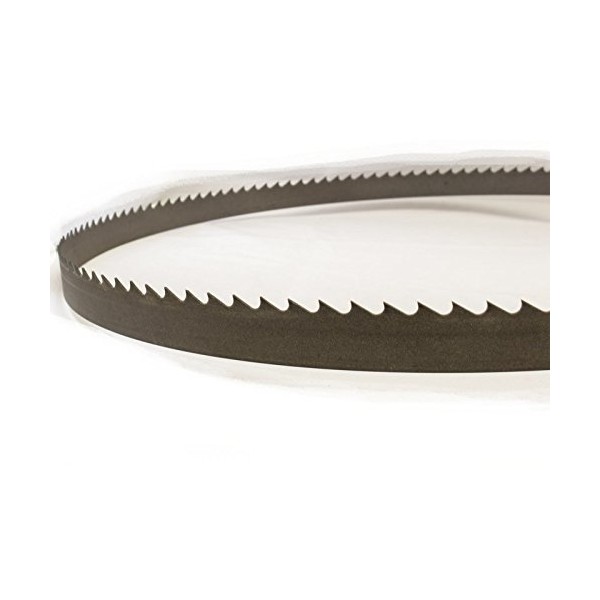 228" (19') x 3/4" x .035" x 4H Band Saw