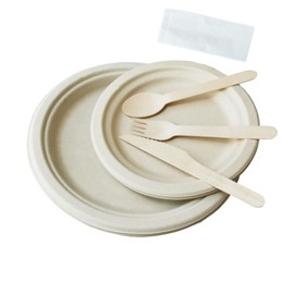 125 teiliges Pappteller und Besteck Set, Biologisch Abbaubar Einweggeschirr Kompostierbar, Zuckerrohr-Bagasse, Partygeschirr inklusive 17,8 und 22,9 cm Geschirr, Messer und Löffel, Grill, Camping