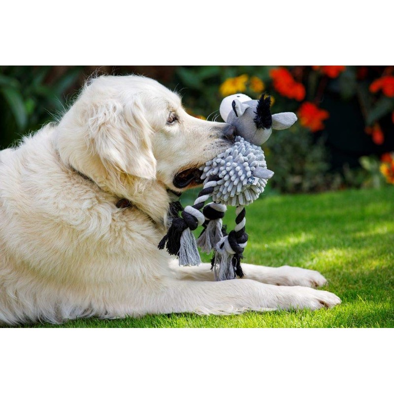 Petface Farmyard Buddies Noodle Donkey Plush Dog Toy