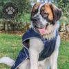 Ancol Muddy Paws All Weather Stormguard Dog Puppy Coat Navy