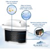 GLACIER FRESH Water Filter Cartridges, Compatible with Brita Maxtra &