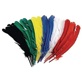 Colorations 12” Duck Quill Feathers, Set of 24 – Colored Feathers for Arts & Crafts, Includes Zip-Top Bag for Easy Storage – Classroom Supplies for School and Learning at Home