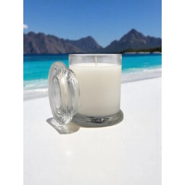 CHRISTMAS IS EVERYDAY SILVER MOUNTAIN WATER Creed type (dupe) CHRISTMAS is EVERYDAY CANDLE CO