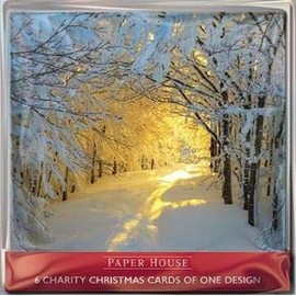 Pack of 10 Charity Christmas Cards (PH-CHPT0048) - Morning Sunrise - Photographic Cards from Paper House