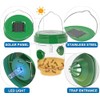 Wasp Traps for Hunting Wasps, Bees, Hornets, Insects, Yellow Jacket