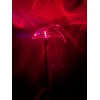 Set of 2 Clear Acrylic Dolphin Solar Power Outdoor Garden