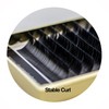 EMILYSTORES Eyelash Extensions 0.20mm Thickness D Curl Length 12mm Silk