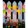 Easter Egg Lights String 6.8FT 10 LED Pastel Egg Light