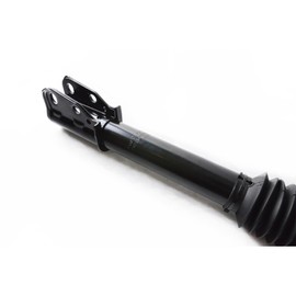 alxiang 2 Pieces Rear Side Shock Strut & Springs Complete 100-4404