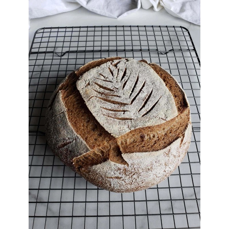 Heritage Sourdough SOURDOUGH STARTER Dehydrated Strong Tasty 100+ Yrs old