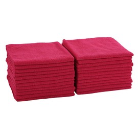 Dri Professional Extra-Thick Microfiber Cleaning Cloth 48 Pack Red (16IN x 16IN, 300GSM, Commercial Grade All-Purpose Microfiber Highly Absorbent, LINT-Free, Streak-Free Cleaning Towels)