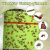 Qualirey 18 Rolls 540 ft Total Spotted Lantern Fly Tree