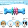 FantaDeco Puppy Teething Toy, Durable Chew Toy for Small Dogs,