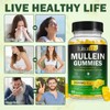 Mullein Gummies for Lungs, 2000 MG(50:1 Extract) Mullein Leaf Extract