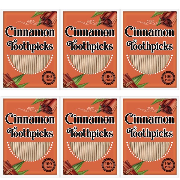 600 Picks Cinnamon Flavored Toothpicks Bulk Cinnamon Toothpicks for Adults Oral Hygiene Teeth Dental Care, Cinnamon Flavor, 6 Pack