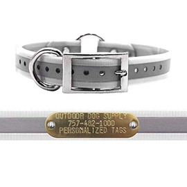 Outdoor Dog Supply's 1" Wide Reflective Ring in Center Dog Collar Strap with Custom Brass Name Plate (21" Long, Reflective White)