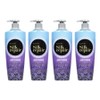 Elastine Silk Repair Conditioner Baby Powder Scent, 550ml, 4 Pieces / 엘라스틴 실크 리페어 컨디셔너 베이비파우더 향, 550ml, 4개