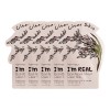 Tonymoly Set De 5 Mascarillas De Arroz Piel Limpia Y