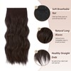 FESHFEN Clip in Hair Extensions 4PCS Dark Brown Thick Hair