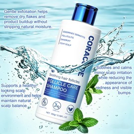 Folliculitis Shampoo for Itchy, Flaky Scalp - Purifying Formula for a Soothed, Balanced Scalp & Oily Scalp Care, Men & Women, 10.58 Fl Oz (2)