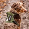 rabbitgoo Dog Harness for Large Dogs No Pull, Tactical Service
