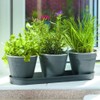 Smart Garden Products 6030302 Windowsill Herb Pots Metal, Slate Grey,