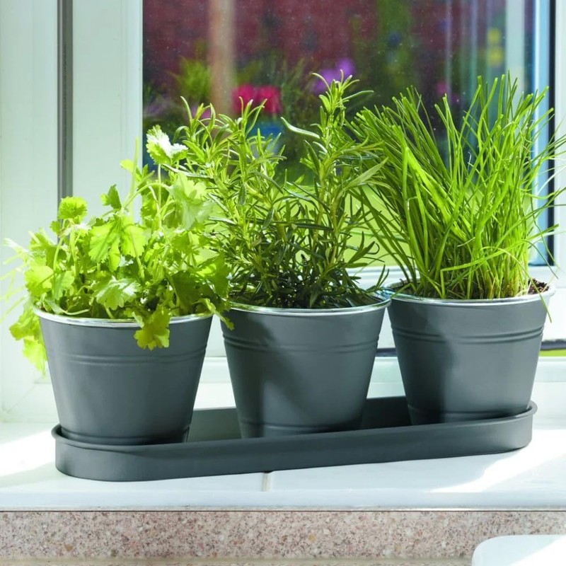Smart Garden Products 6030302 Windowsill Herb Pots Metal, Slate Grey,