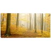 Design Art PT8494-32-16 Autumn Beach Forest Yellow-Landscape Photo Canvas Print-32x16,