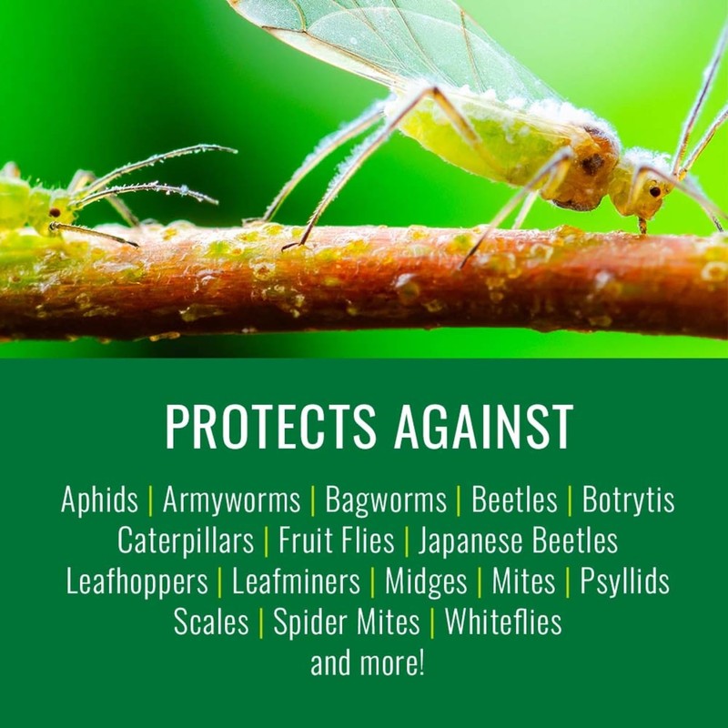 NATRIA Neem Oil Spray for Plants, Ready-to-Use, 1 Gal