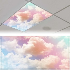 2PCS Fluorescent Light Covers for Classroom Ceiling Lights Magnetic Light Covers,Fluorescent Light Filters for School Home Office Drop Ceiling Lamp Decor Light Filters 4x2Feet(Coral Dolphin2)