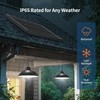 Lightonight Solar Pendant Lights IP65 Weatherproof Dusk to Dawn Solar
