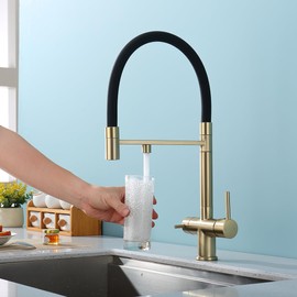 PiroosoKitchen Faucets with Water Filter Faucet Buil-in,3 Way Drinking Water Faucet for Kitchen Sink, Brushed Gold