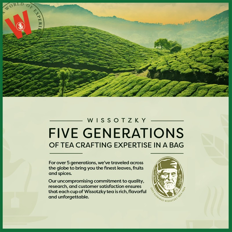 Wissotzky Pure Green Tea (6 Pack - 120 Tea Bags)