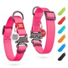 WAUDOG Dog Collar Waterproof Adjustable for Large / Small /