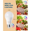 DEWENWILS 4-Pack A19 Dimmable LED Light Bulbs, 2700K Warm Light