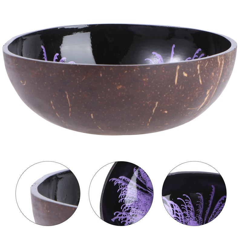 HEMOTON Coconut Bowls Natural Coconut Shell Bowl Decorative Key Storage