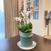 Bleuhome 6 Pack Plant Saucer 4 5 inch (4 inch