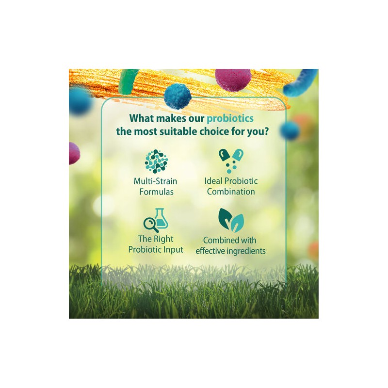 Caruso's POO EZE Probiotic 60 Capsules