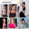 Charsun Charsun 20inch Long Braided Ponytail Extensions for Women, Straight
