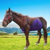 Adjustable Horse Belly Guard Fly Sheet – Soft, Breathable &