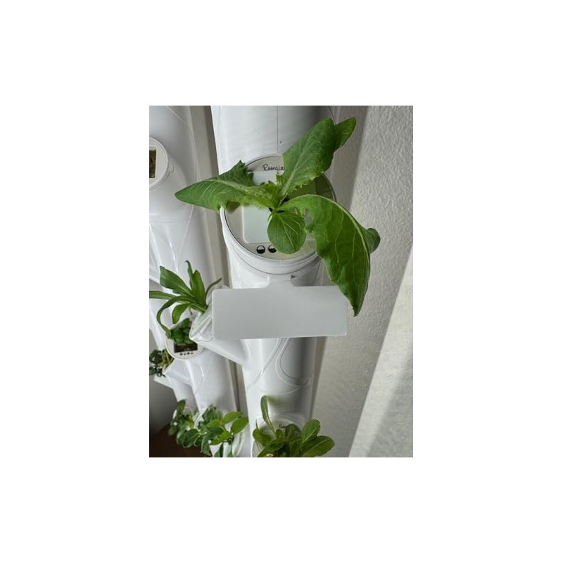 Reusable Plant Labels for Gardyn Hydroponic Systems (Set of 10)