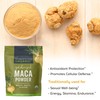 Viva Naturals Viva Naturals Organic Maca Powder - Gelatinized Maca
