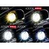 Shingen Premium HID Kit H1 35W 6000K Headlight Fog Lamp