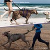 ANAFNI No Pull Dog Harness for Large Dogs, Heavy Duty