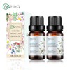 2-Pack Jasmine Essential Oil - 100% Pure Organic Natural Plant