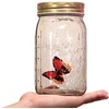Animated Butterfly in A Jar, Xafissy Butterfly Jar That Moves