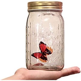 Animated Butterfly in A Jar, Xafissy Butterfly Jar That Moves with LED Light Romantic Glass Animated Butterfly Jar Battery Operated Butterfly Collection Gift for Girls and Boys (Bule)