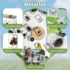 Artojoy Insect in Resin Specimen, 12 PCS Scientific Educational Bugs
